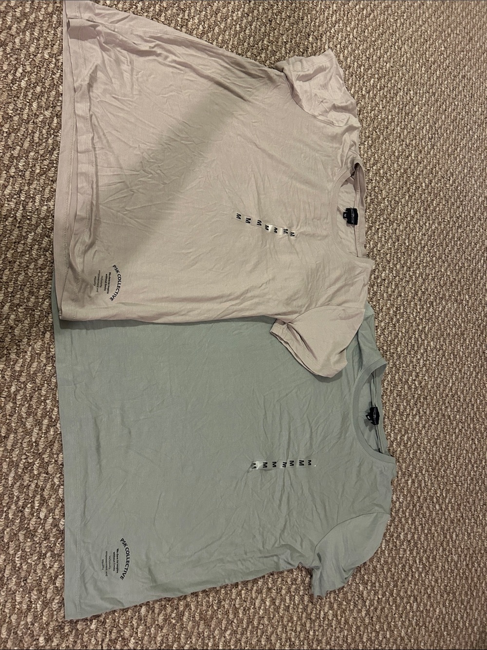 Casual Short Sleeve Crewneck Tee in Light Beige and Sage - PSK Collective